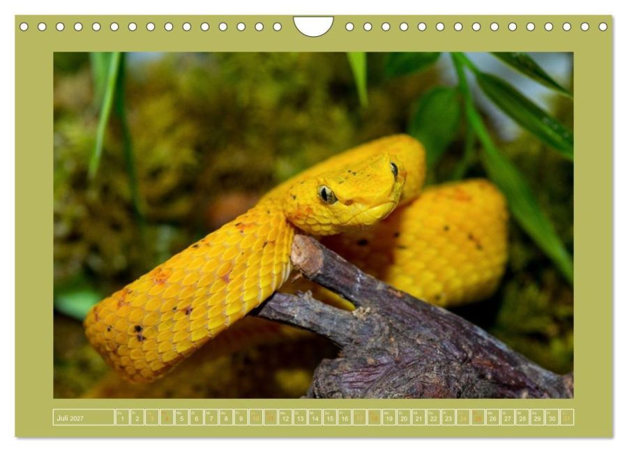 InsideView 12
