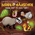 Cover-Bild zum Titel '58: Warum gräbt der Dachs Tunnel?' von 'Die Kleine Schnecke Monika Häuschen'