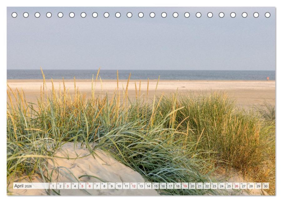 InsideView 9