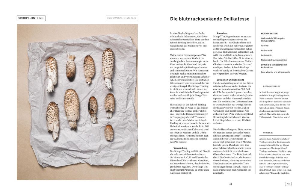 InsideView 5