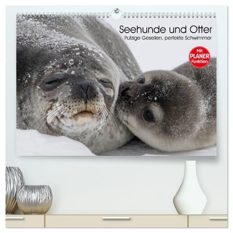 Seehunde und Otter. Putzige Gesellen, perfekte Schwimmer (hochwertiger Premium Wandkalender 2025 DIN A2 quer), Kunstdruck in Hochglanz - Elisabeth Stanzer