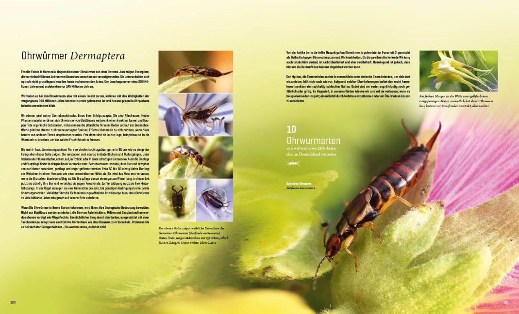 InsideView 23