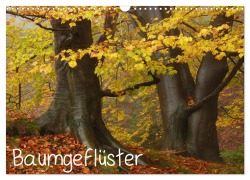 Cover-Bild zum Titel 'Baumgeflüster (Wandkalender 2026 DIN A3 quer), CALVENDO Monatskalender' von 'Uwe Wittbrock'