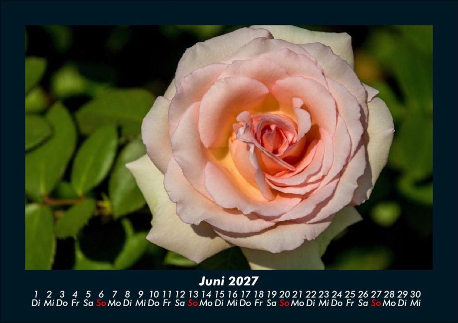 InsideView 10