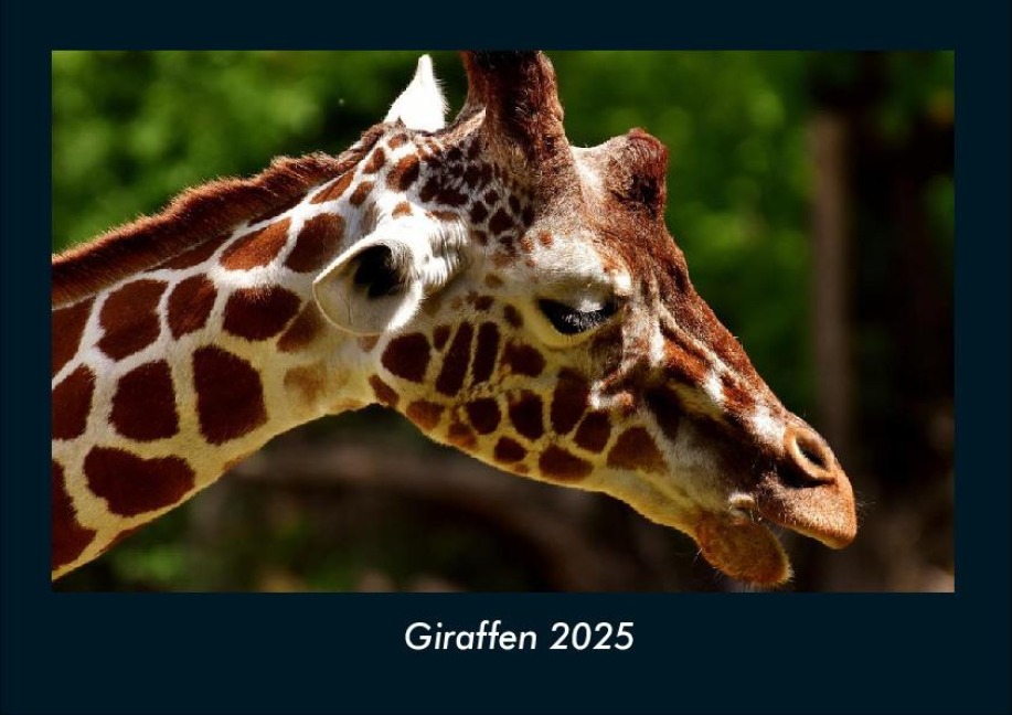 Giraffen 2025 Fotokalender DIN A4 - Tobias Becker