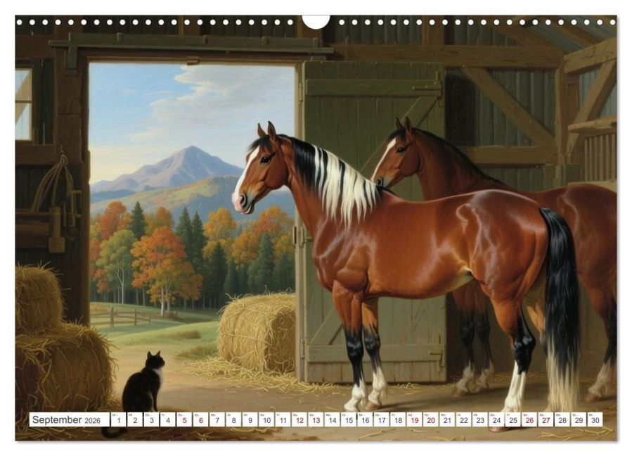 InsideView 14