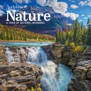 Cover-Bild zum Titel 'Audubon Nature Wall Calendar 2026' von 'Workman Calendars'