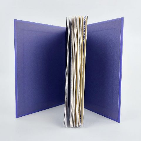 InsideView 4