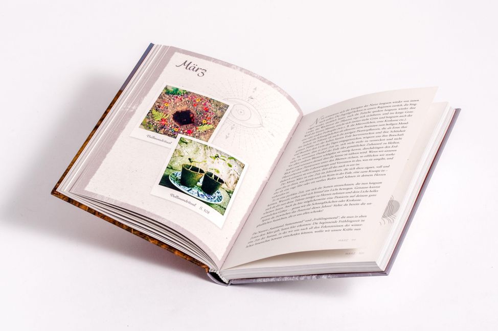 InsideView 5
