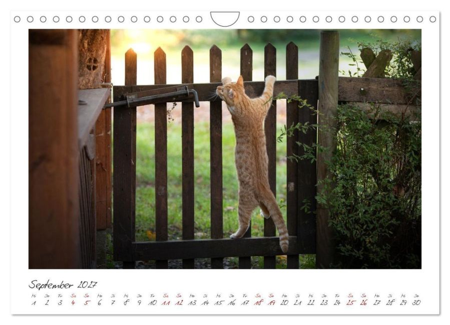InsideView 14