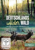 Deutschlands wilder Wald: Das geheime Leben der Rothirsche & Naturwunder Schorfheide - 