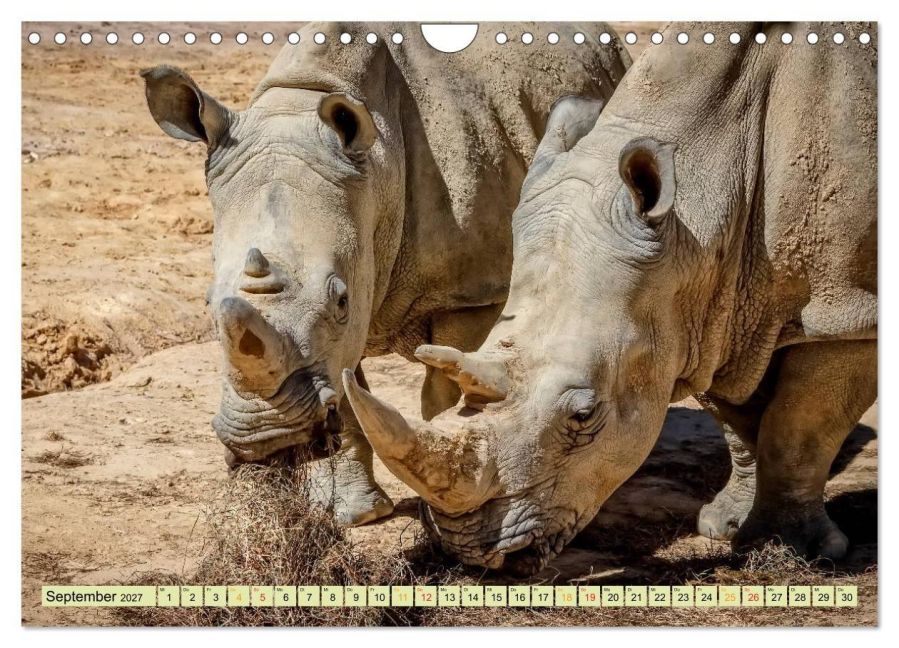 InsideView 14