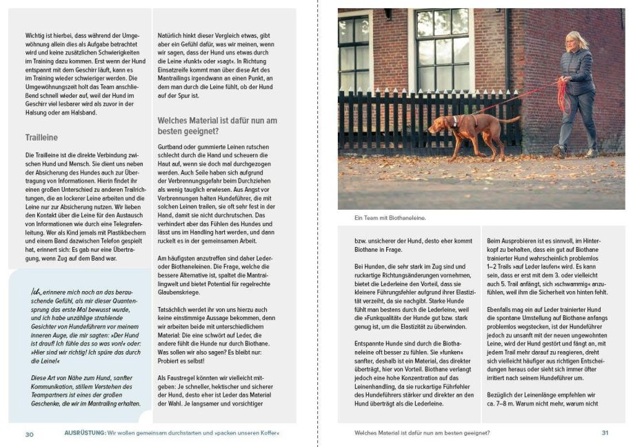 InsideView 6