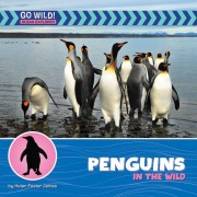 Cover-Bild zum Titel 'Penguins in the Wild' von 'Helen Foster James'