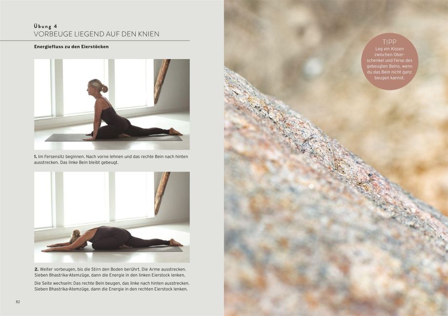InsideView 6