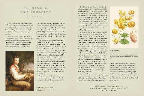 InsideView 3