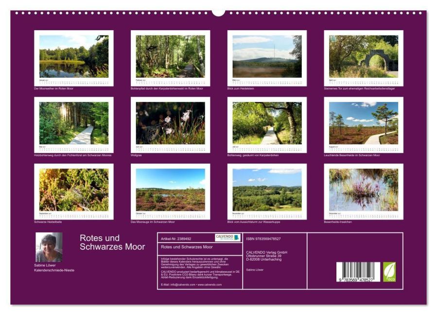 InsideView 5