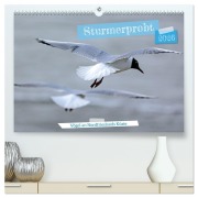Cover-Bild zum Titel 'Sturmerprobt - Vögel an Nordfrieslands Küste (hochwertiger Premium Wandkalender 2026 DIN A2 quer), Kunstdruck in Hochglanz' von 'Gisela Braunleder'