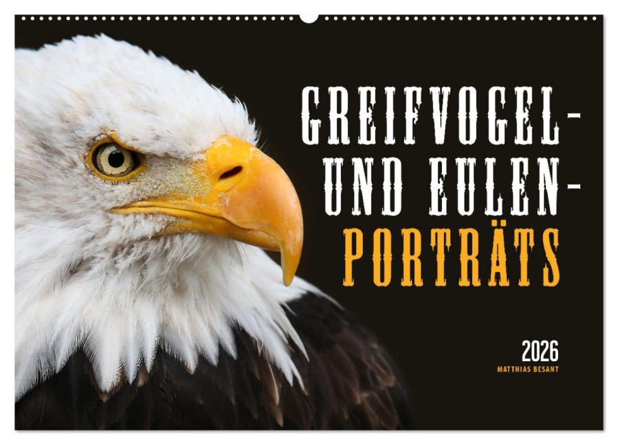 GREIFVOGEL- UND EULENPORTRÄTS (Wandkalender 2026 DIN A2 quer), CALVENDO Monatskalender - Matthias Besant