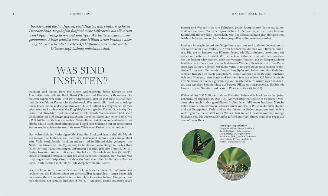 InsideView 2