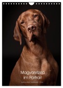 Cover-Bild zum Titel 'Magyar Vizsla im Portrait (Wandkalender 2026 DIN A4 hoch), CALVENDO Monatskalender' von 'Susanne Stark Sugarsweet - Photo'