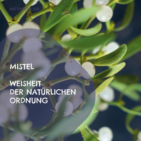 Mistel - Weisheit der natürlichen Ordnung - Matthias Felder