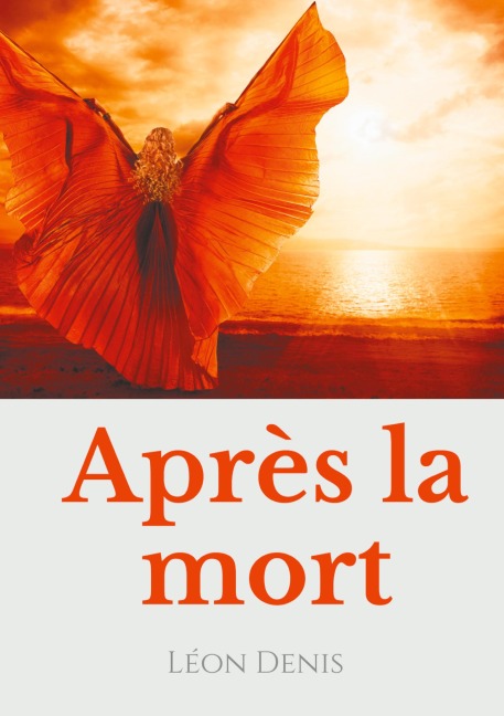 Après la mort - Léon Denis