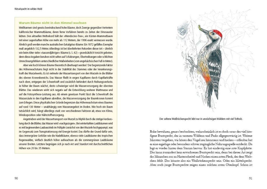 InsideView 3