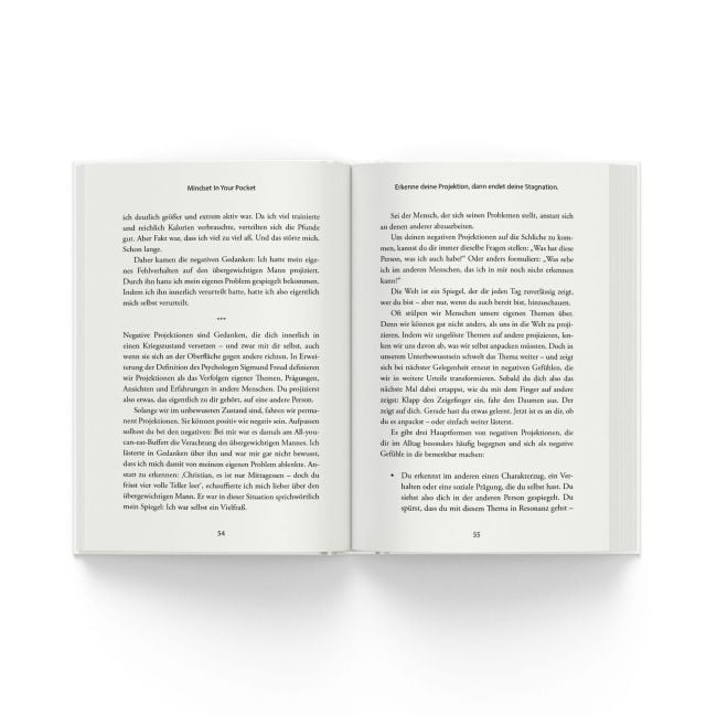 InsideView 2
