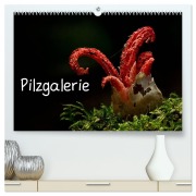 Cover-Bild zum Titel 'Pilzgalerie (hochwertiger Premium Wandkalender 2026 DIN A2 quer), Kunstdruck in Hochglanz' von 'Beate Wurster'