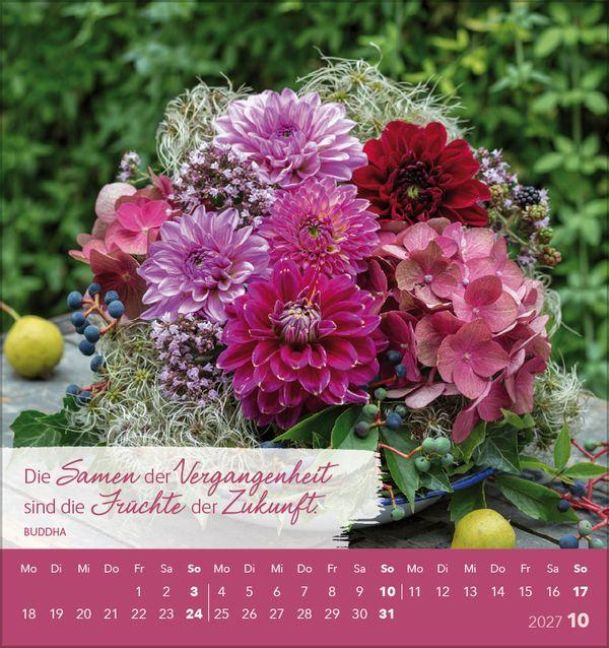 InsideView 10