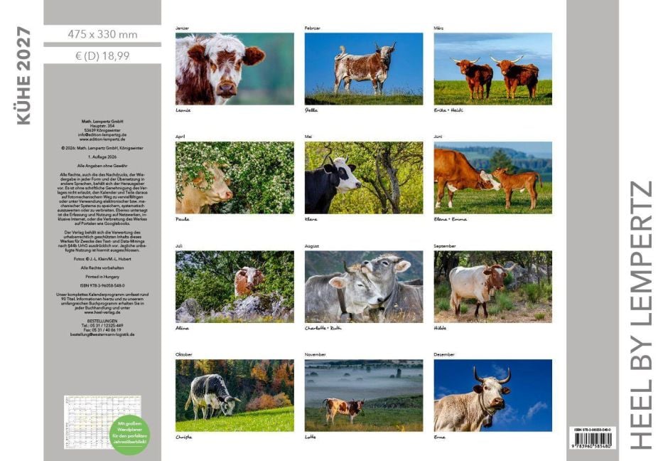 InsideView 13