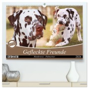 Gefleckte Freunde - Hunderasse Dalmatiner (hochwertiger Premium Wandkalender 2026 DIN A2 quer), Kunstdruck in Hochglanz - Barbara Mielewczyk