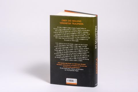 InsideView 2