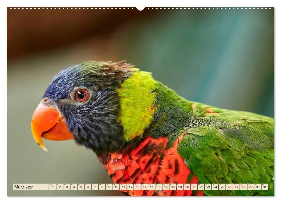 InsideView 7