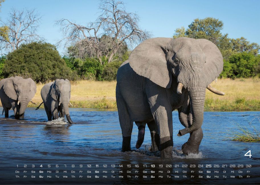 InsideView 4