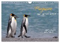 Pinguine aus aller Welt (Wandkalender 2025 DIN A4 quer), CALVENDO Monatskalender - Brigitte Schlögl