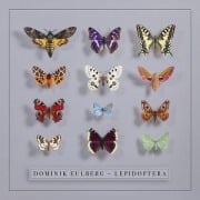 Cover-Bild zum Titel 'Lepidoptera' von 'Dominik Eulberg'