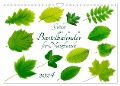Grüner Bastelkalender für Naturfreunde (Wandkalender 2024 DIN A4 quer), CALVENDO Monatskalender - Carola Vahldiek