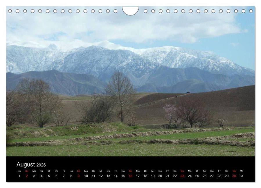 InsideView 13