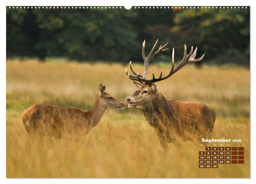InsideView 13