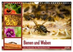 Cover-Bild zum Titel 'Bienen und Waben (Wandkalender 2026 DIN A4 quer), CALVENDO Monatskalender' von 'Barbara Wilms'