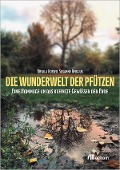 Cover-Bild zum Titel 'Die Wunderwelt der Pfützen' von 'Ursula Kosser, Susanne Bergius'