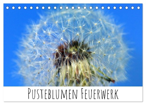 Pusteblumen Feuerwerk (Tischkalender 2025 DIN A5 quer), CALVENDO Monatskalender - Silvia Drafz
