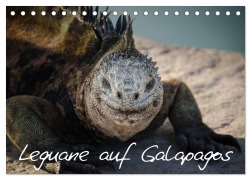 Cover-Bild zum Titel 'Leguane auf Galapagos (Tischkalender 2026 DIN A5 quer), CALVENDO Monatskalender' von 'Ralph Binder'