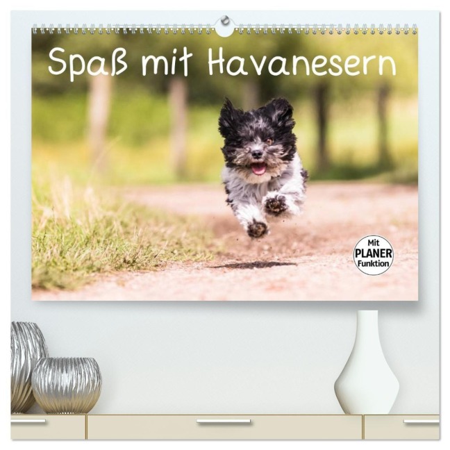 Spaß mit Havanesern (hochwertiger Premium Wandkalender 2027 DIN A2 quer), Kunstdruck in Hochglanz - Sonja Teßen
