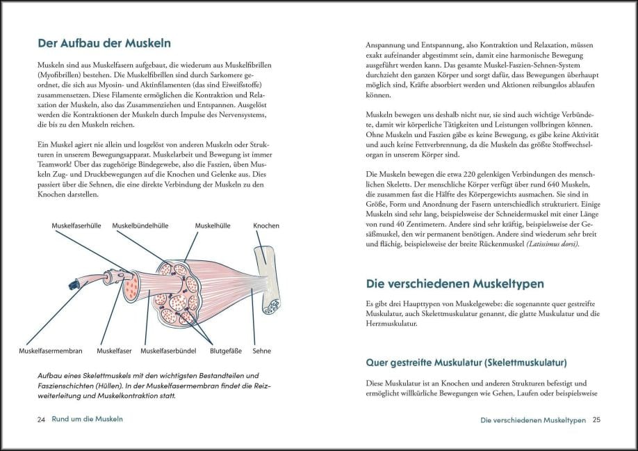 InsideView 8