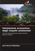 Cover-Bild zum Titel 'Valutazione economica degli impatti ambientali' von 'Juan David Villlalobos'
