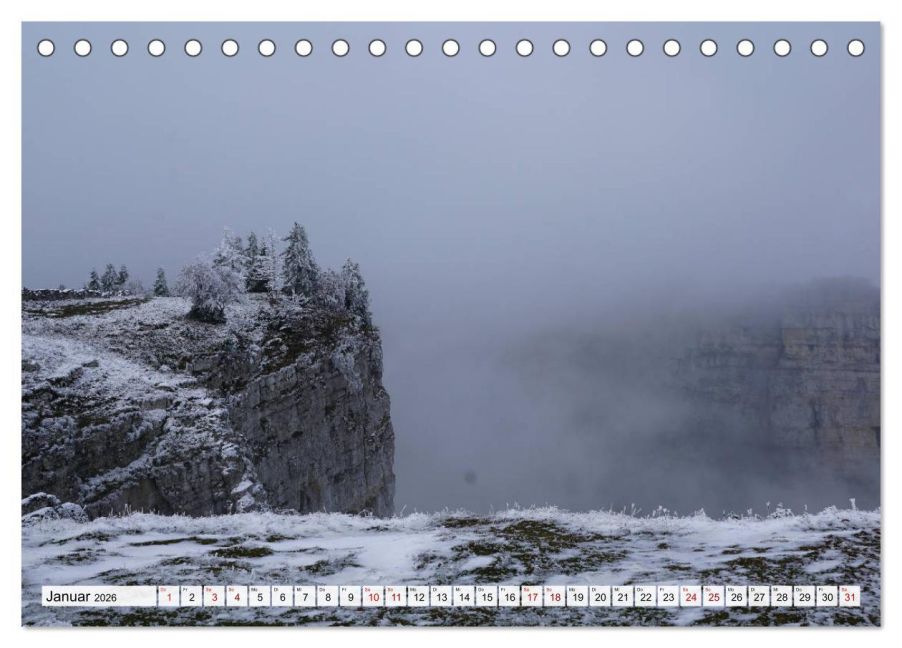 InsideView 6