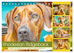 Rhodesian Ridgeback. Kraft und Sanftmut in vollkommener Balance (Tischkalender 2026 DIN A5 quer), CALVENDO Monatskalender - Rose Hurley